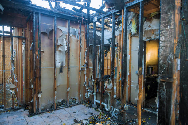 Professional Fire Damage Removal technician working in Selma, TX